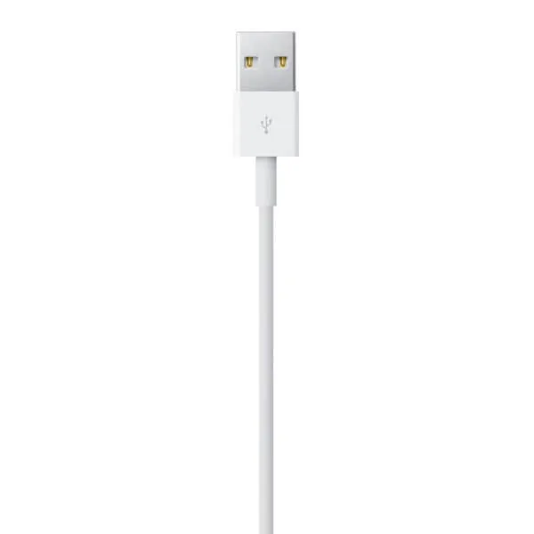 Apple Lightning USB Kabel (1 meter) 1